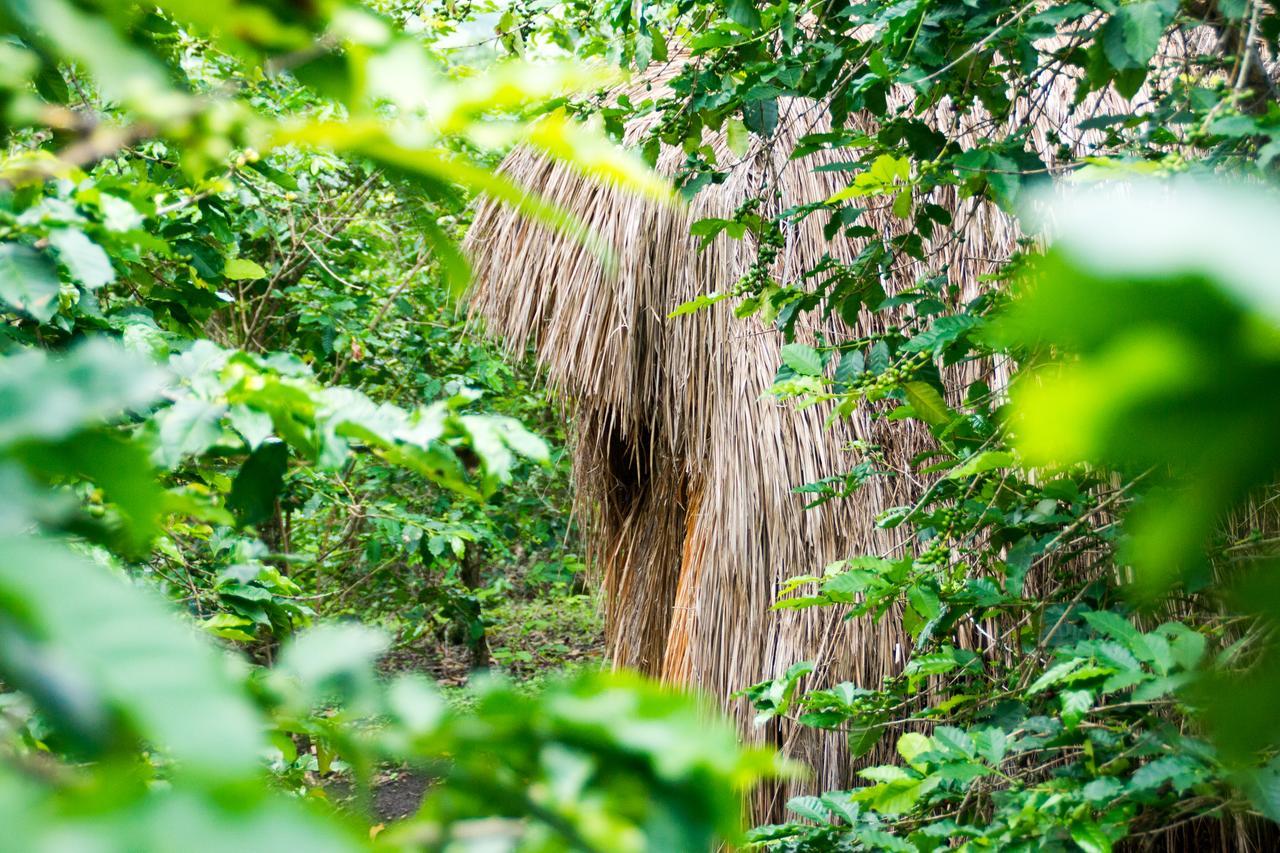 Queen Elizabeth Pvt Lodge Kichwamba エクステリア 写真